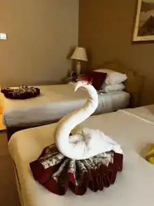 Iberotel Palace - Adults Only 16+ - 13