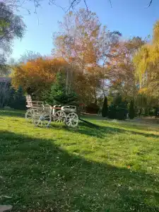 Zagorodny Klub Kura Tse Tse - 40