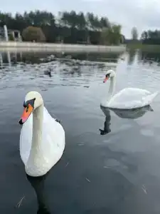 Медикал Спа Резорт Альфа Радон - 22