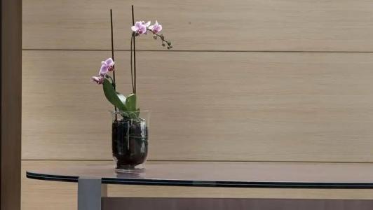 Domotel Olympia - 52