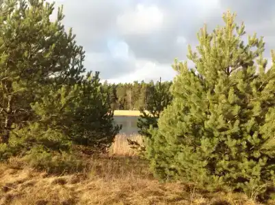 Sanatorium Praleska - 8