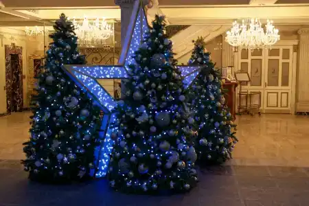 Автор Бутик-отель (Голден Гарден Бутик-отель) - 57