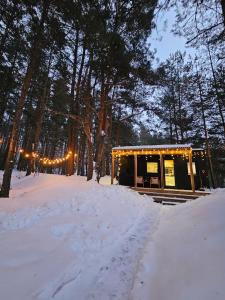 Mesto pod sosnami - 68