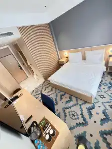 Park Dedeman Almaty - 30