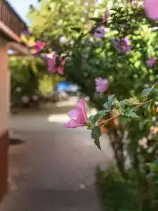 Kurortny Sanvil Primorskiy 2** - 46