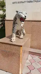 Sanatoriy Kazakhstan - 45