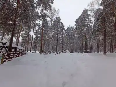 Zagorodnayy Klub Lesnaya Skazka - 19