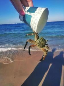 Blend Club Aqua Resort - 47