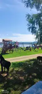 Zolotye peski - 51