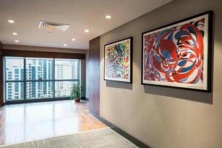 Radisson Blu Ankara Cankaya - 11