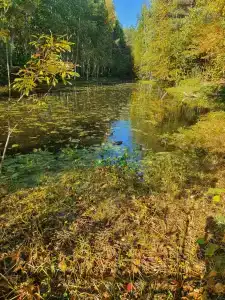 Kedrovyy Log - 35