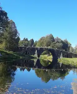 Mitino Health Resort - 83