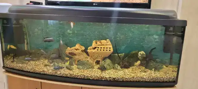 Park-New Century - 40