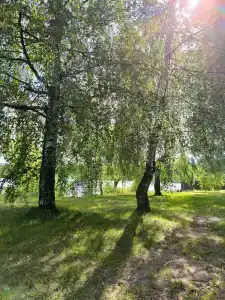 Эдем - 96