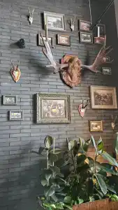 Gostinitsa Rossiya - 82