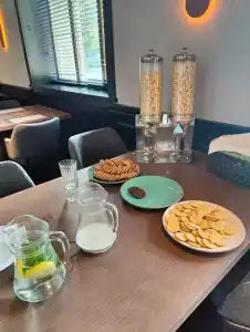 Gostinitsa Rossiya - 85