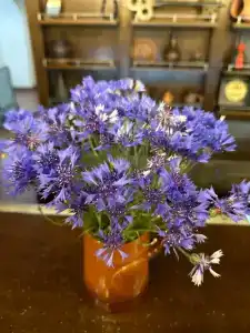 Monastyrski Minsk City Centre - 27