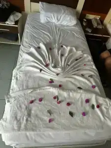 Kaila Krizantem - 49