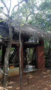 Back of Beyond - Pidurangala - 30