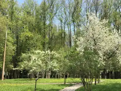 Dom tvorchestva imeni D.N. Kardovskogo - 11