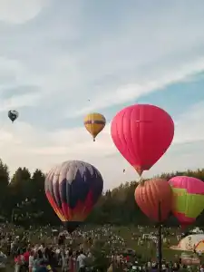 Park Grishkino Tourist base - 16