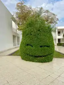 Maritim Jolie Ville Resort & Casino - 40