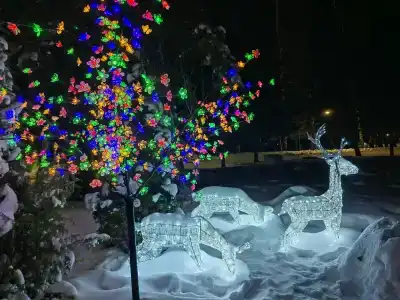 Berezovaya roshcha - 34