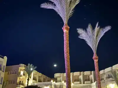 Sunrise Aqua Joy Resort - 88