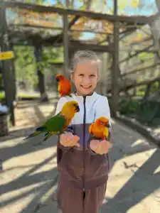 Malinka Guest House - 12