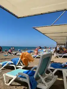 Asteria Collection - 13