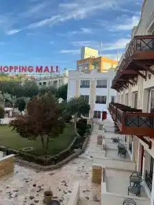 Falcon Naama Star - 39