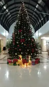 Sindika Spa-Hotel - 10