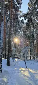  - 81