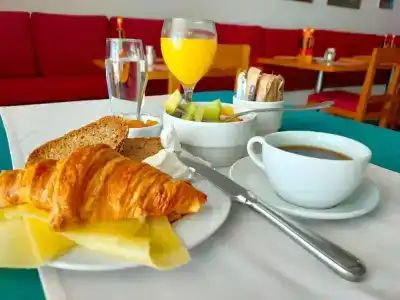 Camel Dive Club & - Boutique - 13