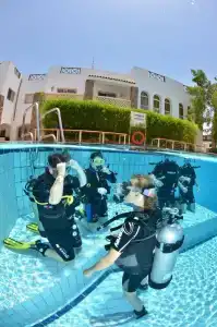 Camel Dive Club & - Boutique - 9