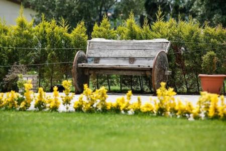 Assos Barbarossa - Special Class - 14