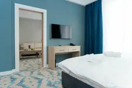 Park Dedeman Almaty - 27