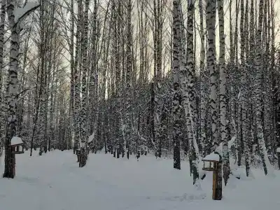 Sanatorium-profilaktoriy Zhemchuzhina - 24