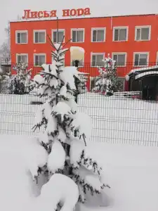 Гостевой Дом Лисья Нора - 80
