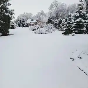 Tihaya Gavan Tourist base - 23