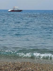 Grand Uysal Beach - 52