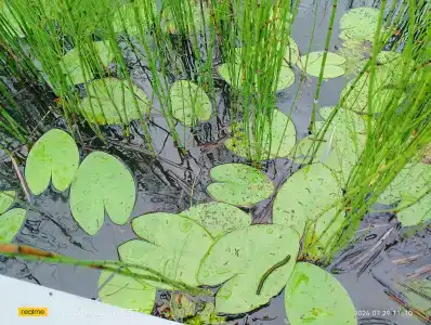 Eco Park Tourist base - 87