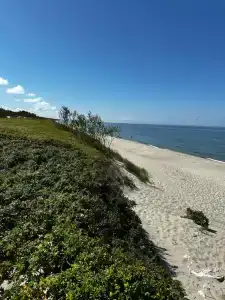 Frische Nehrung - 15