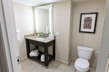 Hilton Niagara Falls/ Fallsview and Suites - 72