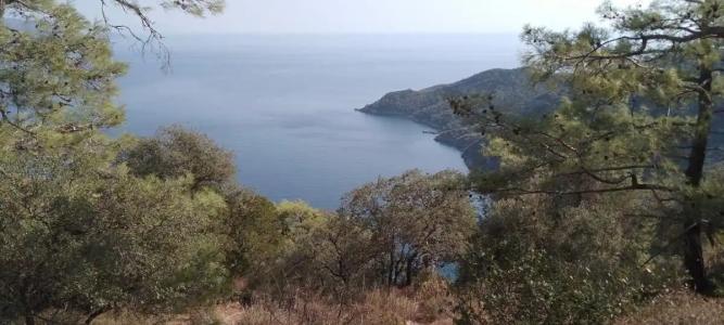 Marbas Select Beach +14 - 13