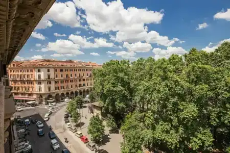 B&B Drago D'Oro - 14