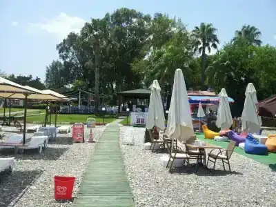 Elamir Felizya - 31