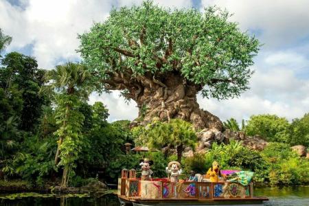 Wyndham Garden Lake Buena Vista – Disney Springs® Area - 7