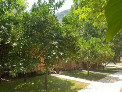 Camlik Pansiyon - Adults Only (16+) - 47