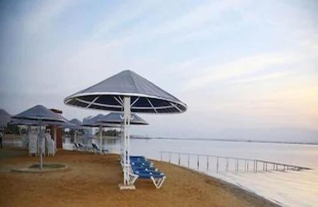 Brown Dead Sea - 9